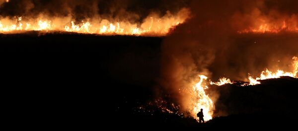 Пожары в лесах в Британии Пожары в лесах в Британии - Sputnik Беларусь