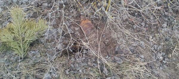 Обнаруженная мина Обнаруженная мина - Sputnik Беларусь