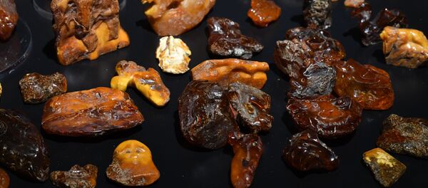 Бурштын Бурштын - Sputnik Беларусь