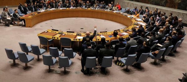Члены Совета Безопасности ООН голосуют против проекта резолюции США  - Sputnik Беларусь