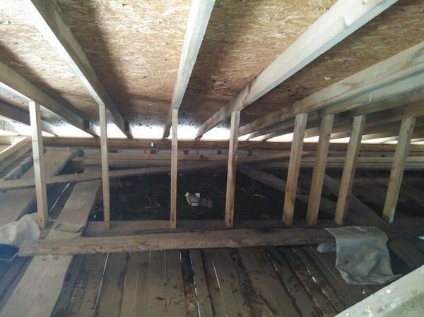 Задержан наркосбытчик, хранивший дома 4,5 килограмма марихуаны - Sputnik Беларусь