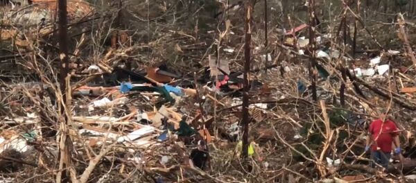 Торнадо в американском штате Алабама  - Sputnik Беларусь