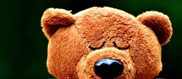 Плюшевый медведь - Sputnik Беларусь