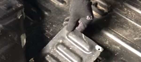 Килограмм кокаина изъят сотрудниками наркоконтроля МВД  - Sputnik Беларусь