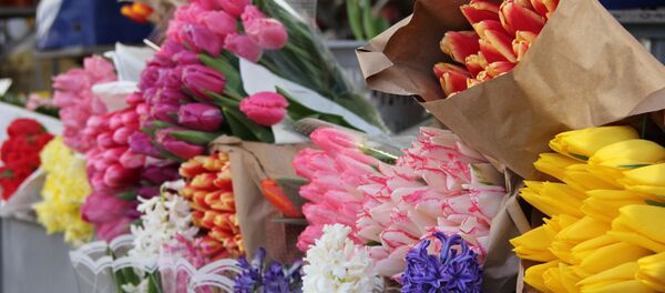 Тюльпаны на Комаровском рынке - Sputnik Беларусь