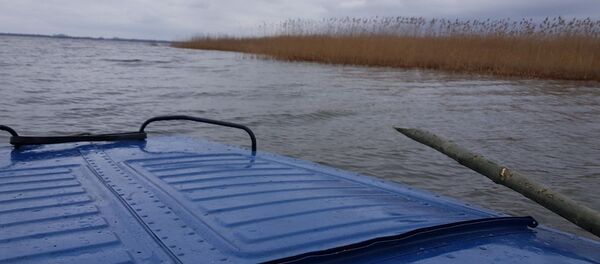 Во время поисковых мероприятий на озере - Sputnik Беларусь