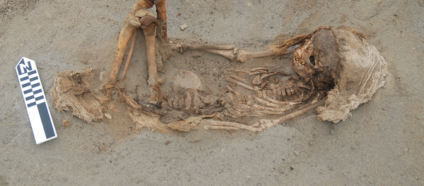 Одно из захоронений - Sputnik Беларусь