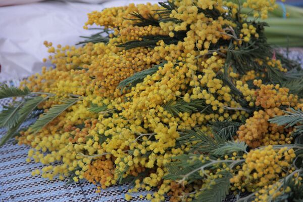 Тюльпаны и розы привезли в Минск на рассвете: весенний репортаж - Sputnik Беларусь