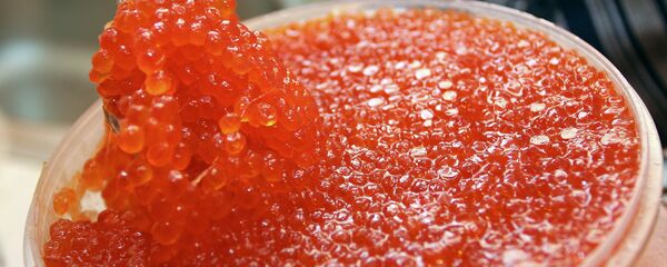 Красная икра, архивное фото - Sputnik Беларусь