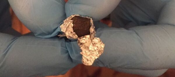 Особо опасный наркотик гашиш, обнаруженный у минчанина  - Sputnik Беларусь