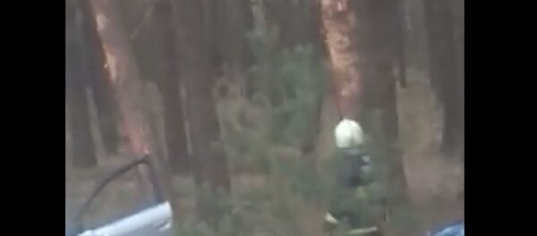 Легковой автомобиль Audi-А6 вылетел в кювет и врезался в дерево - Sputnik Беларусь