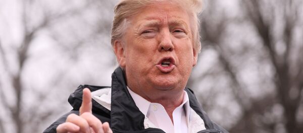 Президент США Дональд Трамп - Sputnik Беларусь