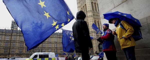 Сторонники Brexit возле парламента в Лондоне - Sputnik Беларусь