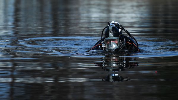 Водолаз в водоеме Водолаз в водоеме - Sputnik Беларусь