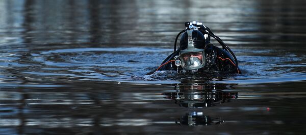 Водолаз в водоеме Водолаз в водоеме - Sputnik Беларусь
