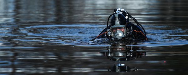 Водолаз в водоеме Водолаз в водоеме - Sputnik Беларусь