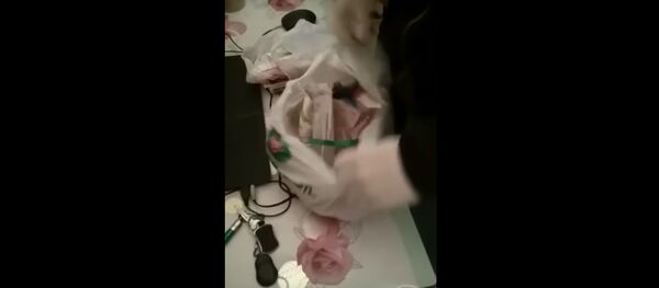 МВД показало, как обыскивали наркокурьера-оптовика в Жодино - Sputnik Беларусь