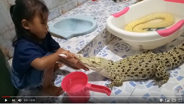 Девочка чистит зубы крокодилу - Sputnik Беларусь