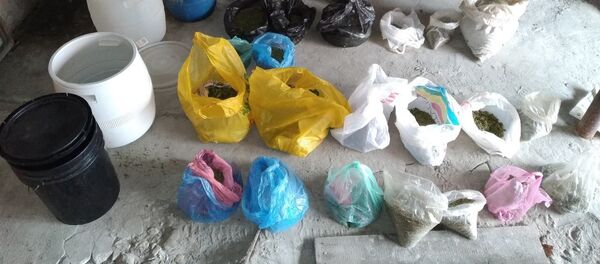 Обнаруженный у жителя Микашевичей наркотик - Sputnik Беларусь