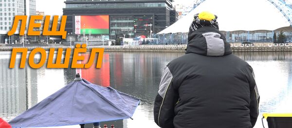 Лешч пайшоў: дзесяткі рыбакоў сабраліся на набярэжнай Свіслачы Лешч пайшоў: дзесяткі рыбакоў сабраліся на набярэжнай Свіслачы - Sputnik Беларусь