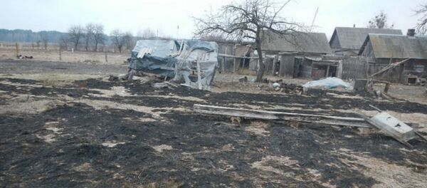 Пенсионерка тушила сухую траву и погибла в Речице - Sputnik Беларусь