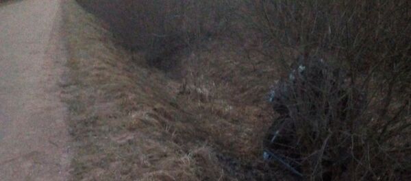 Минчанин на самодельном тракторе опрокинулся в кювет и погиб - Sputnik Беларусь