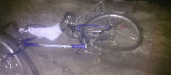 Велосипедистку сбили насмерть под Бобруйском Велосипедистку сбили насмерть под Бобруйском - Sputnik Беларусь