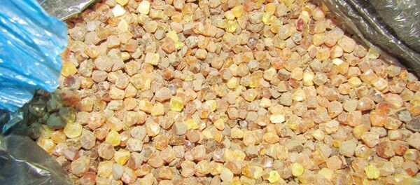 Контрабандный янтарь Контрабандный янтарь - Sputnik Беларусь