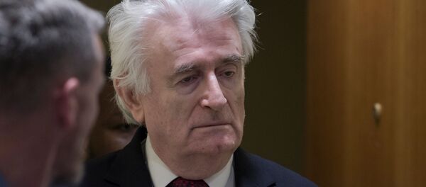 Радован Караджич в суде - Sputnik Беларусь