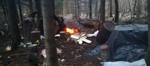 Самогонщик установил змеевик рядом с белорусско-литовской границей - Sputnik Беларусь