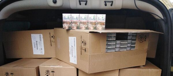 Сигареты, которые забрали у россиянина - Sputnik Беларусь