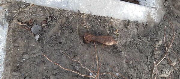 Детский сад в Барановичах эвакуировали из-за найденного снаряда Детский сад в Барановичах эвакуировали из-за найденного снаряда - Sputnik Беларусь