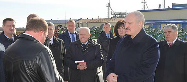 Лукашэнка: патрэбна разыначка ў кожнай гаспадарцы - Sputnik Беларусь