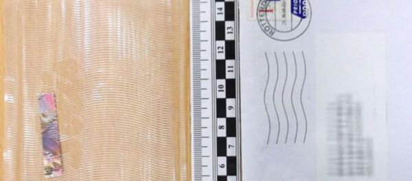 Письмо с ЛСД получил из Нидерландов житель Жодино - Sputnik Беларусь