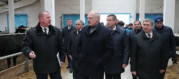 Александр Лукашенко посещает молочно-товарный комплекс Слижи в Шкловском районе Александр Лукашенко посещает молочно-товарный комплекс Слижи в Шкловском районе - Sputnik Беларусь