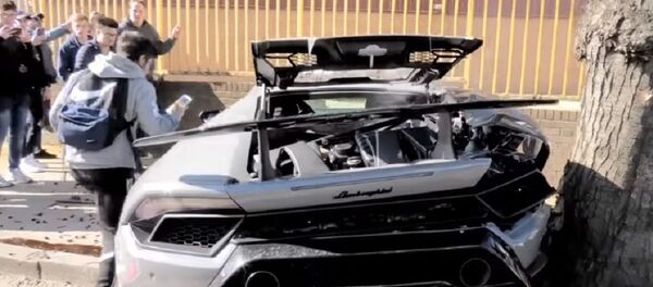 Водитель разбил Lamborghini, врезавшись в дерево  - Sputnik Беларусь