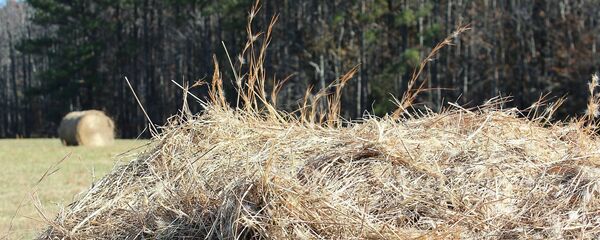 Стог сена Стог сена - Sputnik Беларусь