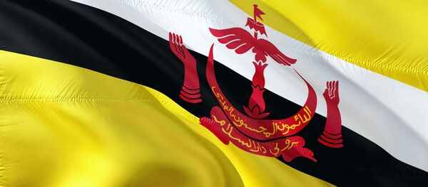 Флаг Брунея Флаг Брунея - Sputnik Беларусь