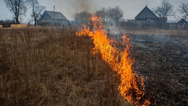 Выжигание сухой травы - Sputnik Беларусь