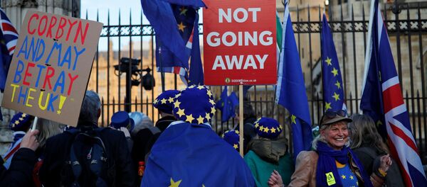Митингующие против Brexit стоят у здания парламента в Лондоне - Sputnik Беларусь