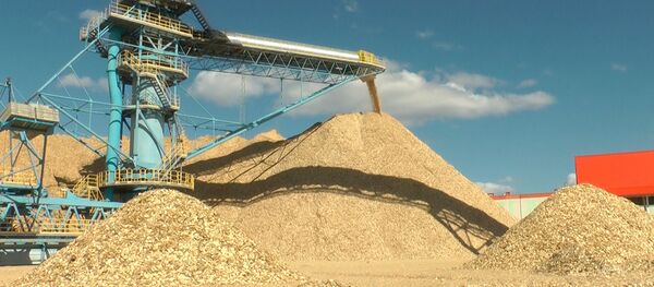 Как работает завод беленой целлюлозы в Светлогорске Как работает завод беленой целлюлозы в Светлогорске - Sputnik Беларусь