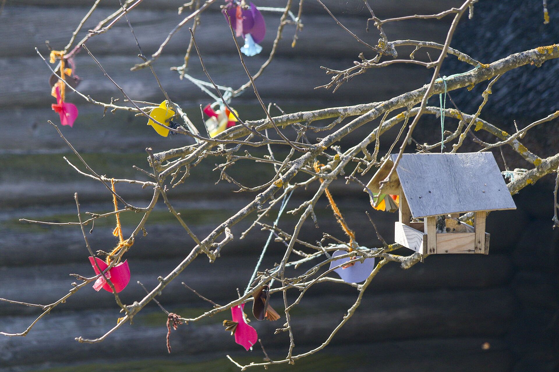 Гуканне вясны - Sputnik Беларусь, 1920, 18.03.2026