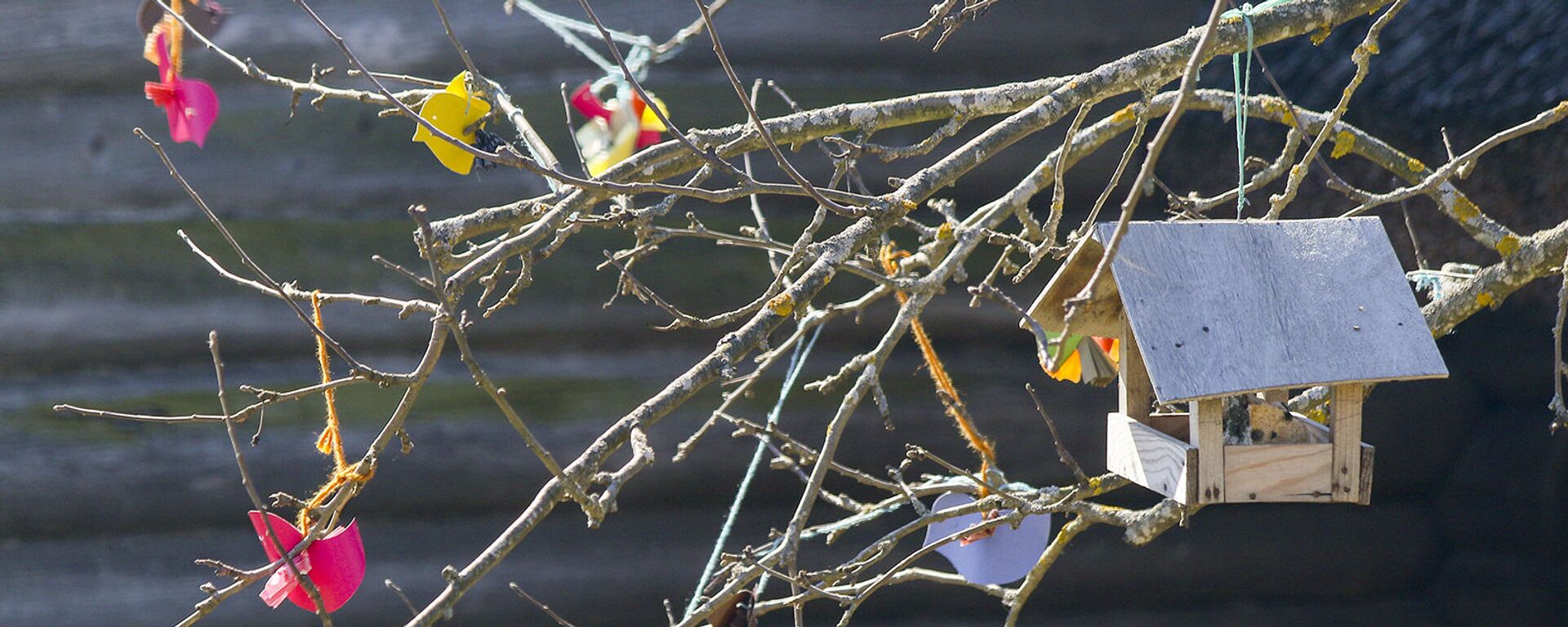 Гуканне вясны - Sputnik Беларусь, 1920, 25.03.2021