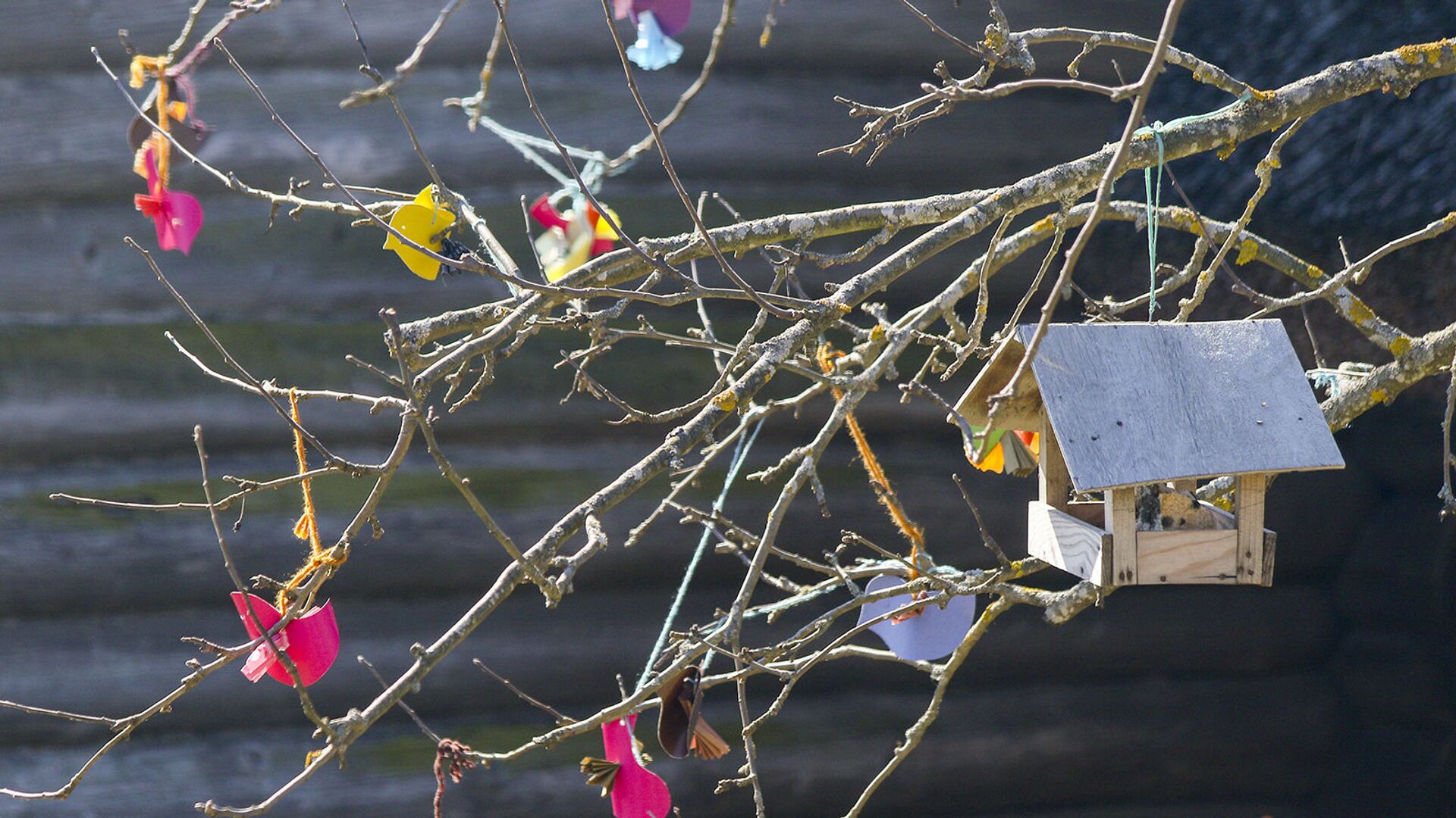 Гуканне вясны Гуканне вясны - Sputnik Беларусь, 1920, 25.03.2021