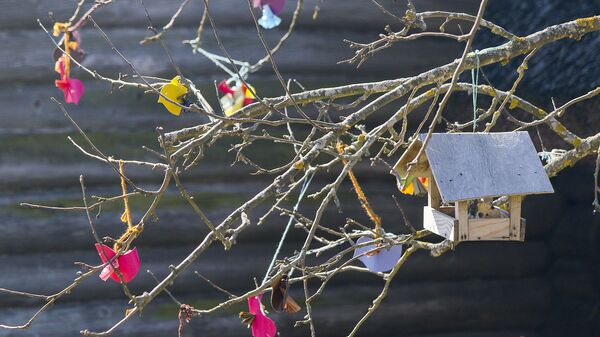 Гуканне вясны - Sputnik Беларусь