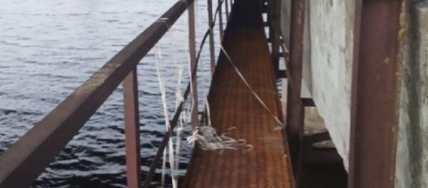 Двое мужчин ночью упали в Солигорское водохранилище - Sputnik Беларусь