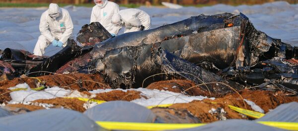 Судмедэксперты работают рядом с останками самолета, потерпевшего крушение в районе Эрцхаузена - Sputnik Беларусь