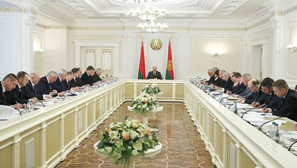 Совещание у президента Александра Лукашенко по вопросам регионального развития - Sputnik Беларусь