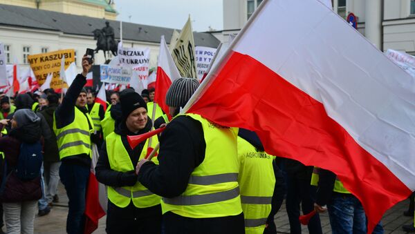 Польские фермеры проводят акцию в Варшаве - Sputnik Беларусь