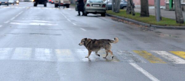 Жизнь в маленьком городе - Sputnik Беларусь